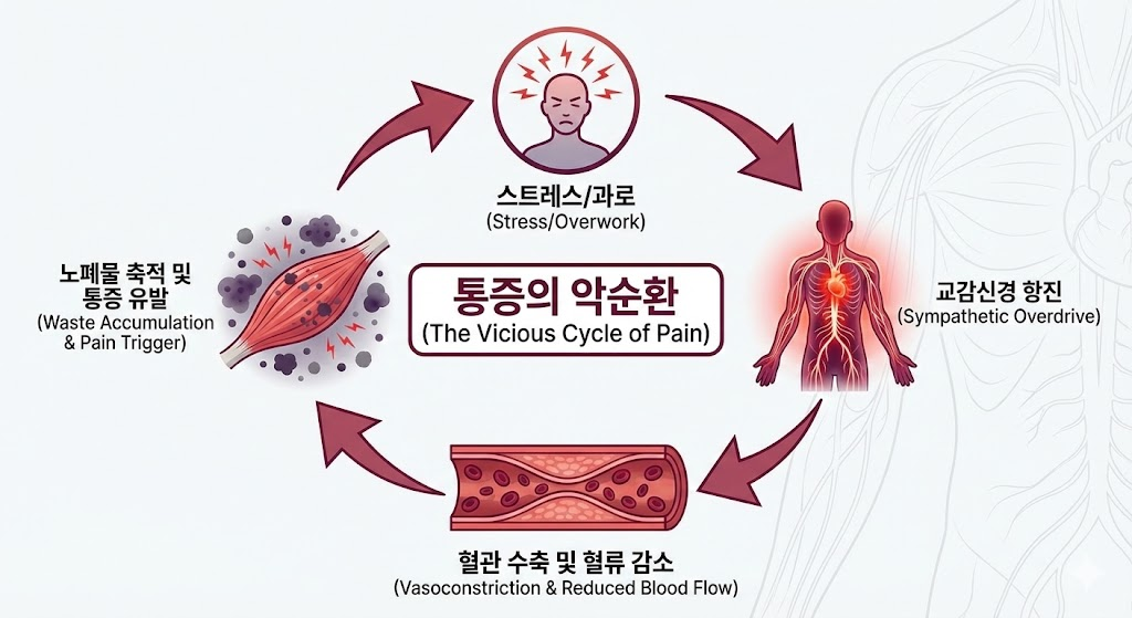 자율신경실조증이 우리 몸의 통증을 유발하는 기전